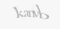 Защитный код